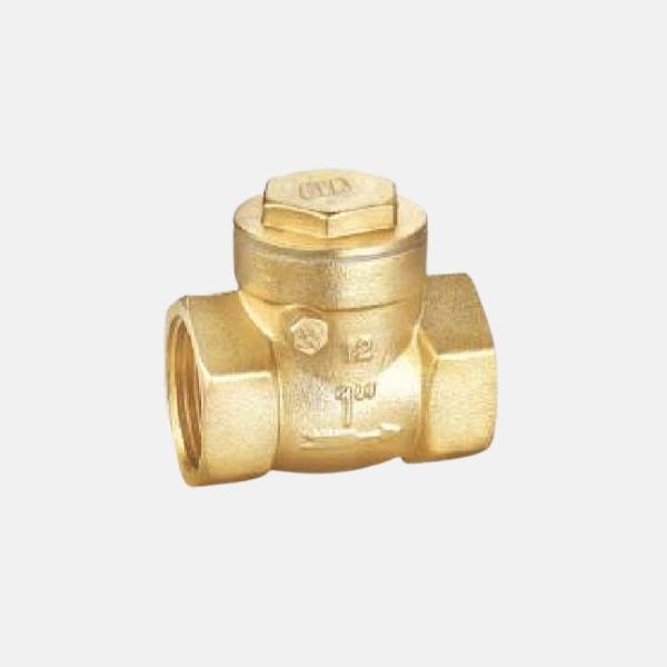 CHECK VALVE (SWING TYPE)
