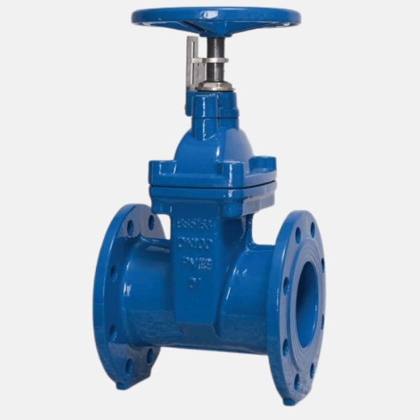 Sluice Valve