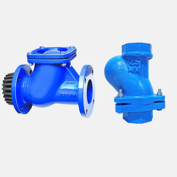 Ball Type NRV & Foot Valves