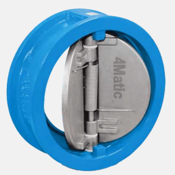 Dual plate check valve