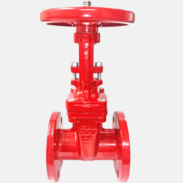 Rising gate valve